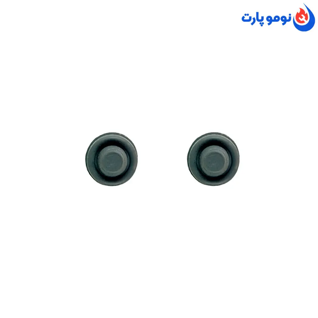 خرید اینترنتی واشر سوت و سوپاپ اطمینان زودپز مدل انگشتی