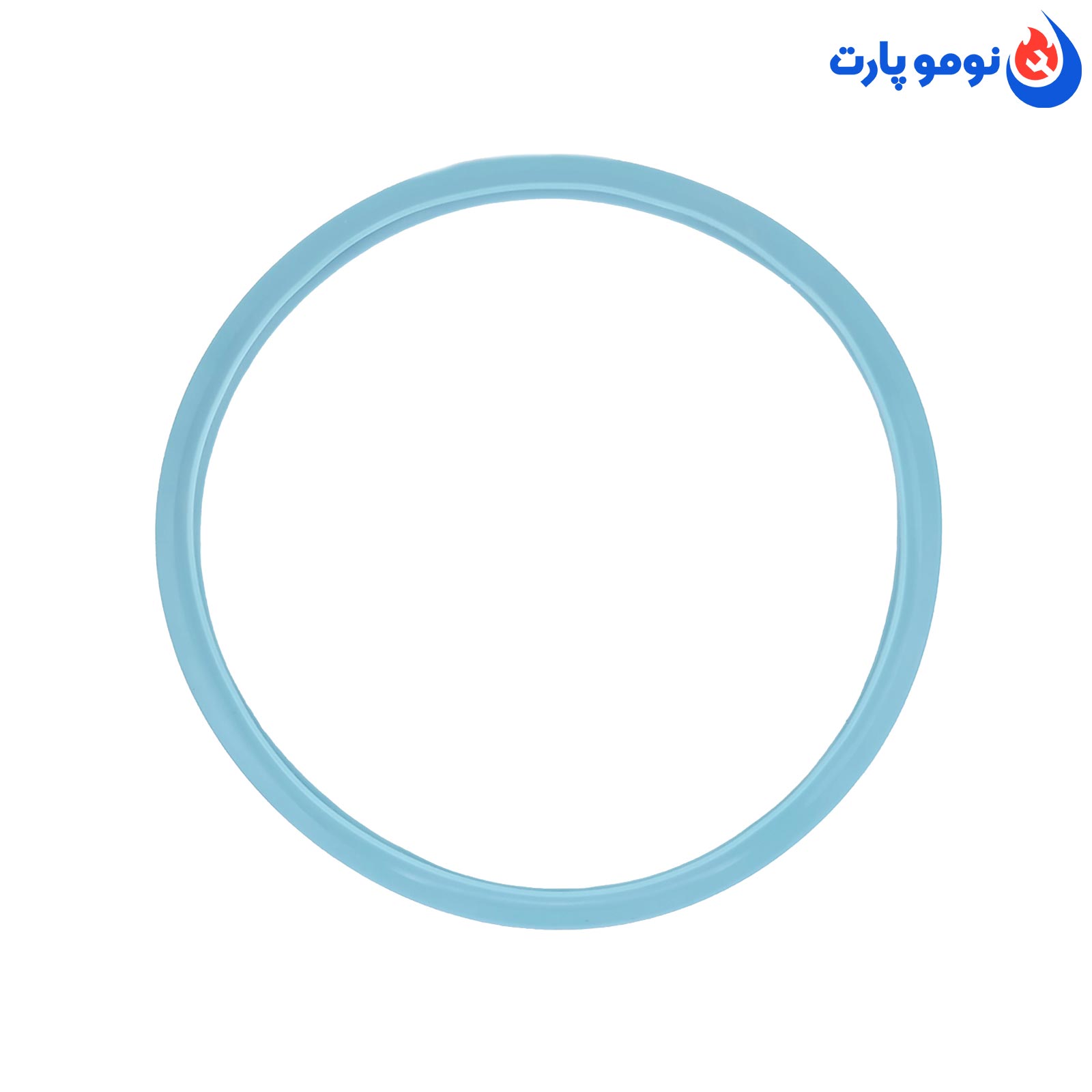 مشخصات و قیمت خرید واشر زودپز دسینی_Dessini